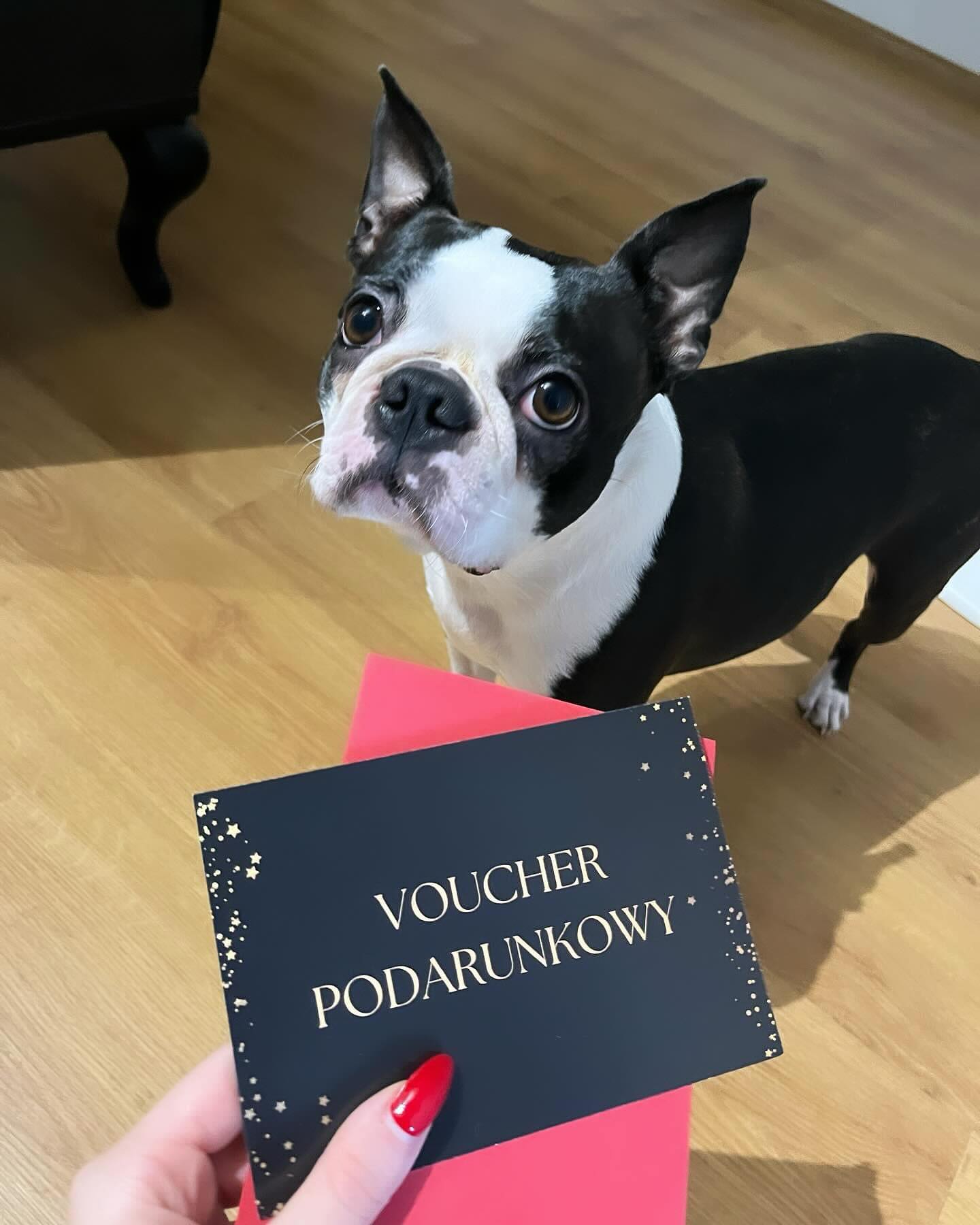 468937047_17914778361026182_4618623445884081986_n